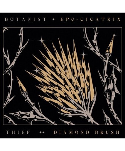 Botanist / Thief CICATRIX / DIAMOND BRUSH CD $26.50 CD